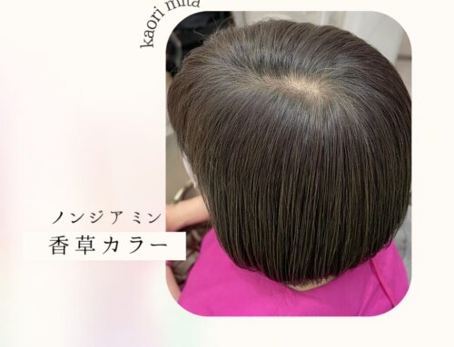 【銀座 ノンジアミン香草カラー】