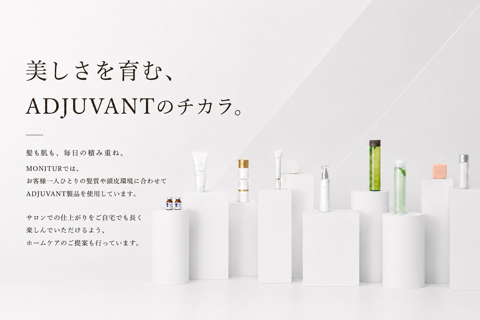 ADJUVANT 商品